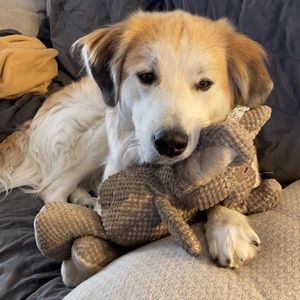 Meet your Posher, Kelse